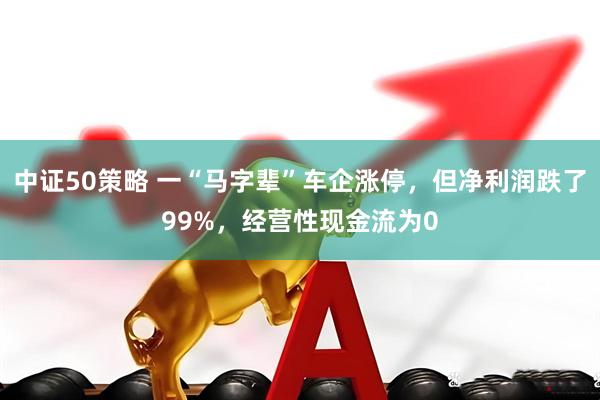 中证50策略 一“马字辈”车企涨停，但净利润跌了99%，经营性现金流为0
