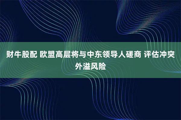 财牛股配 欧盟高层将与中东领导人磋商 评估冲突外溢风险