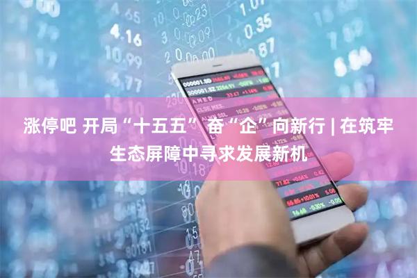 涨停吧 开局“十五五” 奋“企”向新行 | 在筑牢生态屏障中寻求发展新机