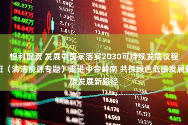 恒利配资 发展中国家落实2030可持续发展议程研修班(清洁能源专题)走进中金岭南 共探绿色低碳发展新路径