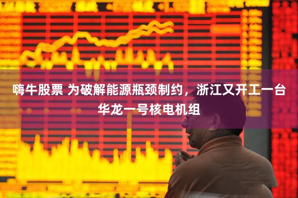 嗨牛股票 为破解能源瓶颈制约,浙江又开工一台华龙一号核电机组