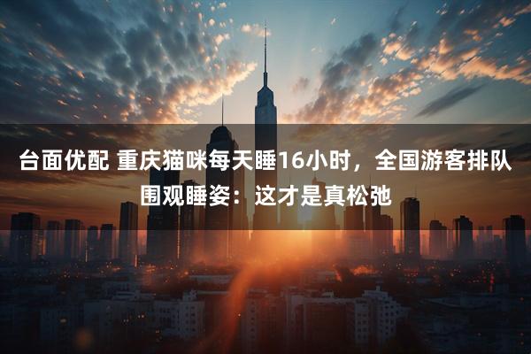 台面优配 重庆猫咪每天睡16小时，全国游客排队围观睡姿：这才是真松弛