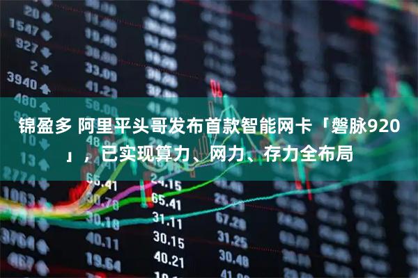 锦盈多 阿里平头哥发布首款智能网卡「磐脉920」，已实现算力、网力、存力全布局