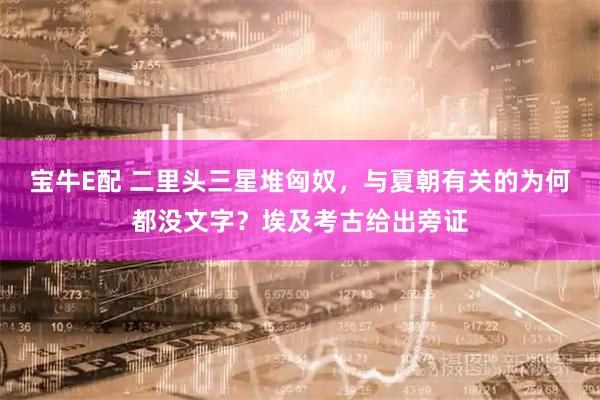 宝牛E配 二里头三星堆匈奴，与夏朝有关的为何都没文字？埃及考古给出旁证