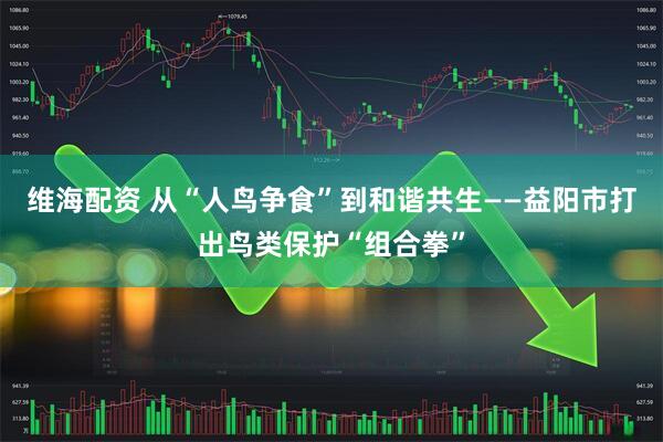 维海配资 从“人鸟争食”到和谐共生——益阳市打出鸟类保护“组合拳”