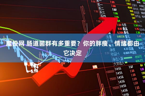 魔投网 肠道菌群有多重要?你的胖瘦、情绪都由它决定