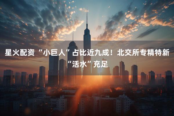 星火配资 “小巨人”占比近九成！北交所专精特新“活水”充足