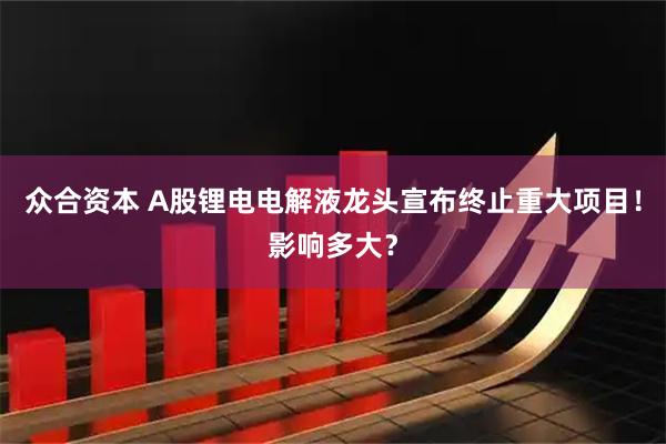 众合资本 A股锂电电解液龙头宣布终止重大项目！影响多大？