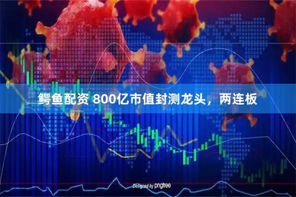 鳄鱼配资 800亿市值封测龙头，两连板